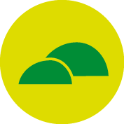Wiese / Hügel